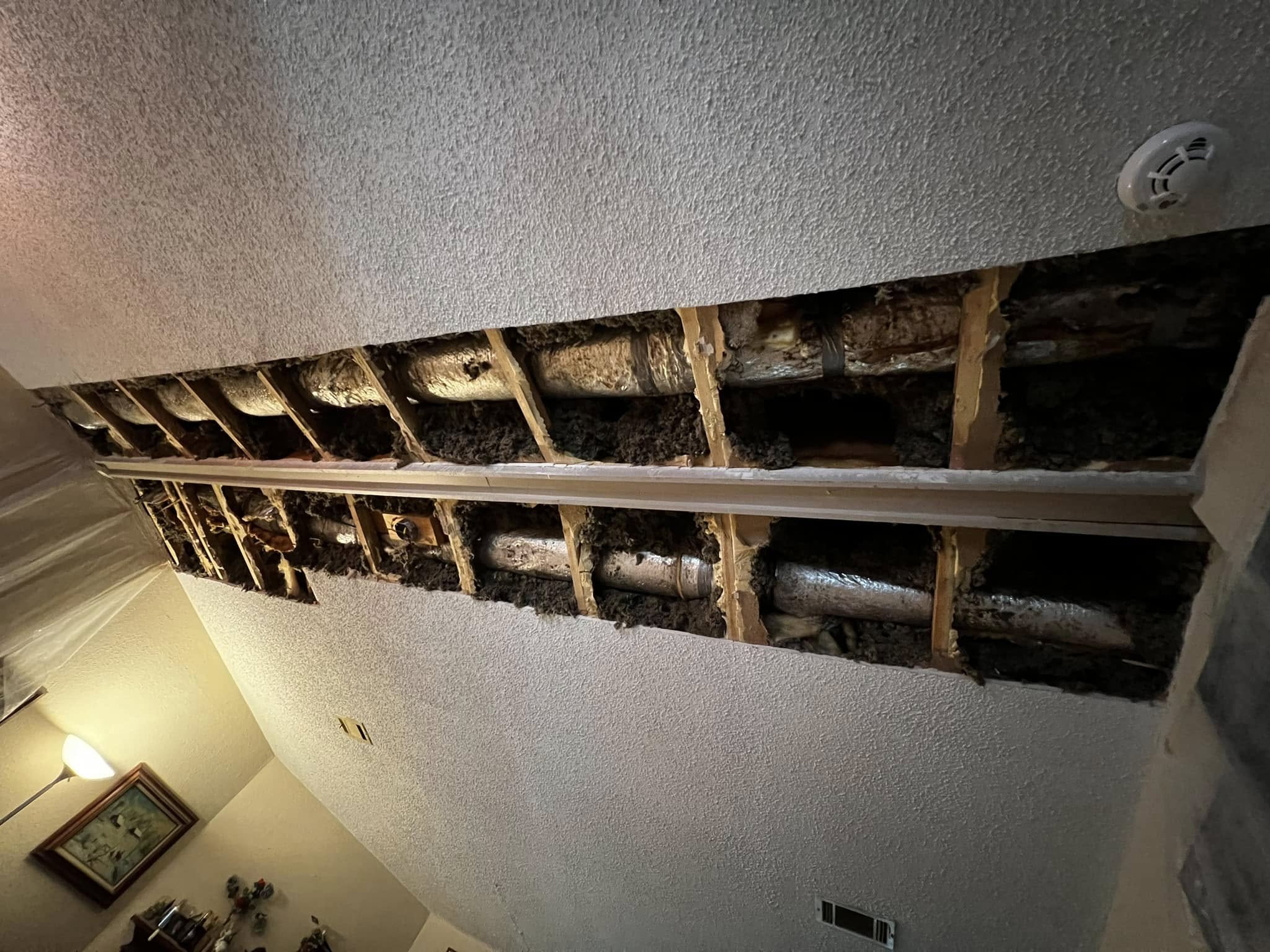 Ceiling Joist Repair